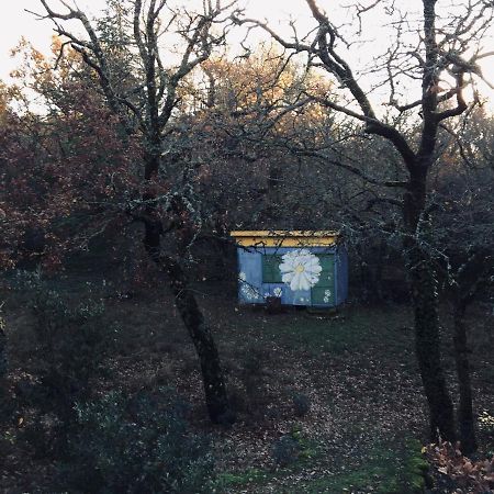 La Maison De Mado Et Sa Cabane Dans Les Arbres Plan d'Aups Exterior photo