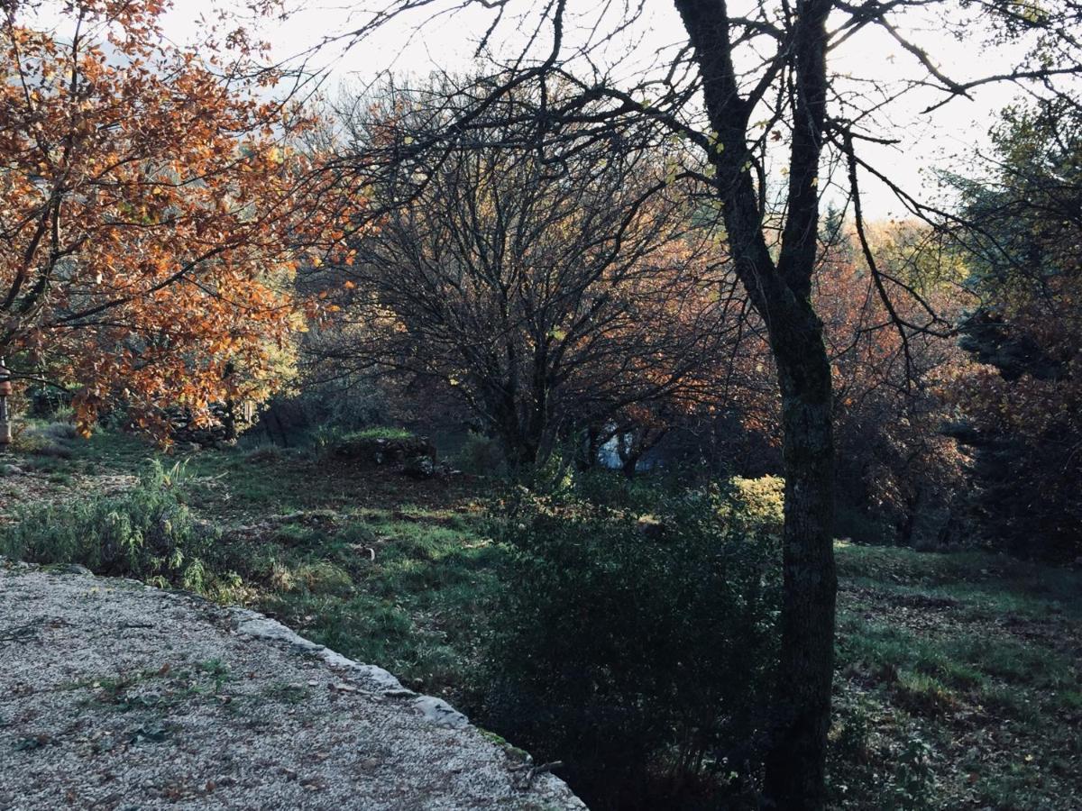 La Maison De Mado Et Sa Cabane Dans Les Arbres Plan d'Aups Exterior photo