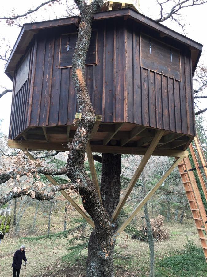 La Maison De Mado Et Sa Cabane Dans Les Arbres Plan d'Aups Exterior photo